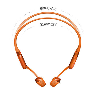 OpenRun Pro 2 Mini