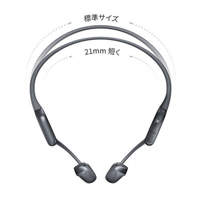 OpenRun Pro 2 Mini