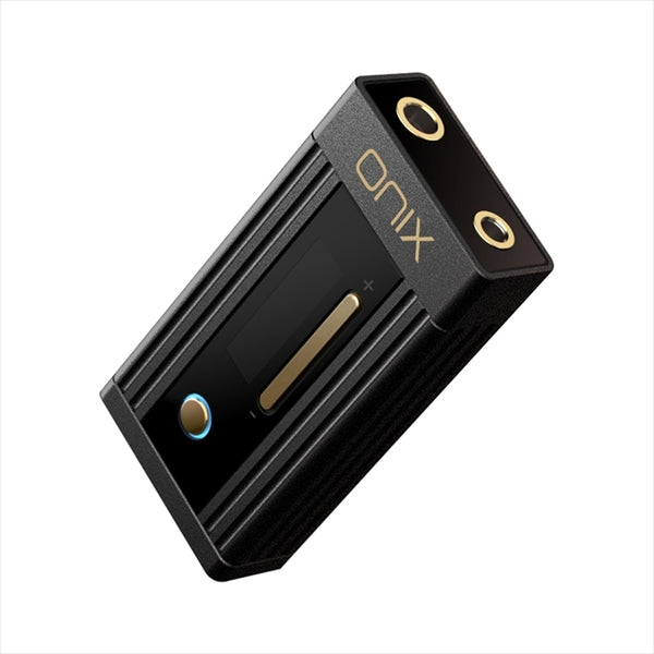 Fiio FT1 PRO + ONIX Alpha XI1 ケース付き +オマケ Fiio FT1 PRO + ONIX Alpha XI1 ケース付き +オマケ Fiio FT1