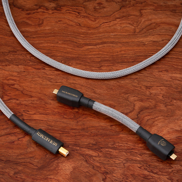 Brise Audio MURAKUMO2-USB OTG TYPE-C to C – e☆イヤホン