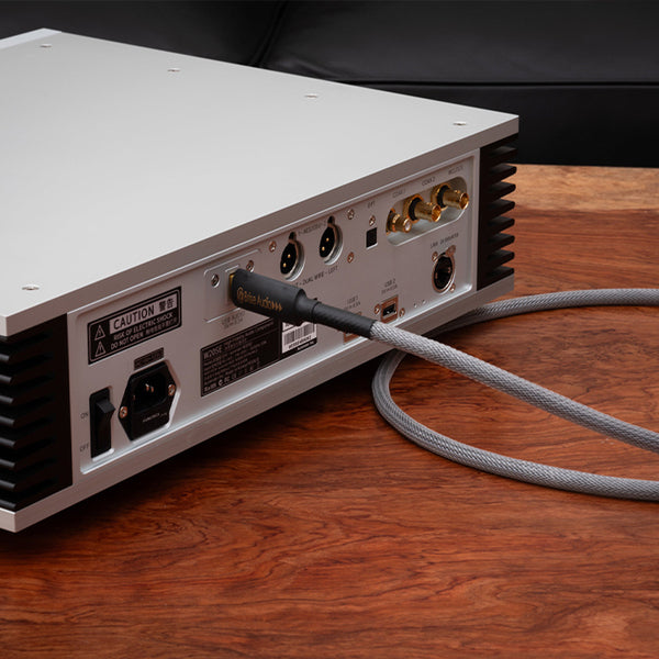 Brise Audio MURAKUMO2-USB OTG TYPE-C to C – e☆イヤホン