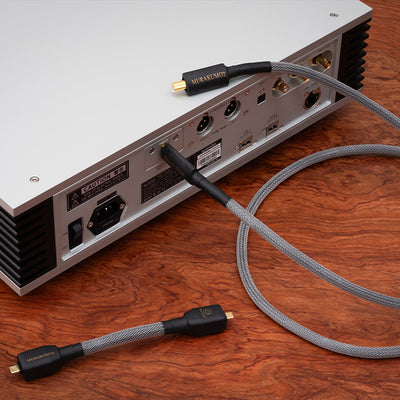 MURAKUMO2-USB OTG TYPE-C to C