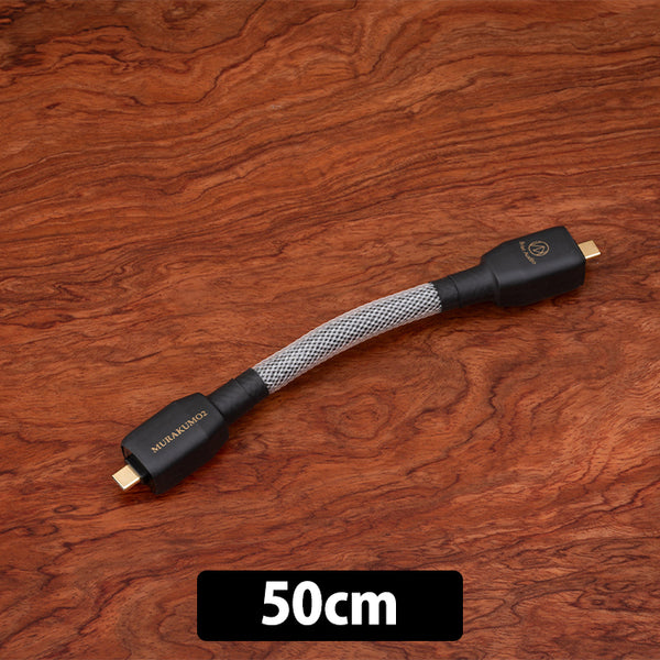 Brise Audio MURAKUMO2-USB OTG TYPE-C to C – e☆イヤホン