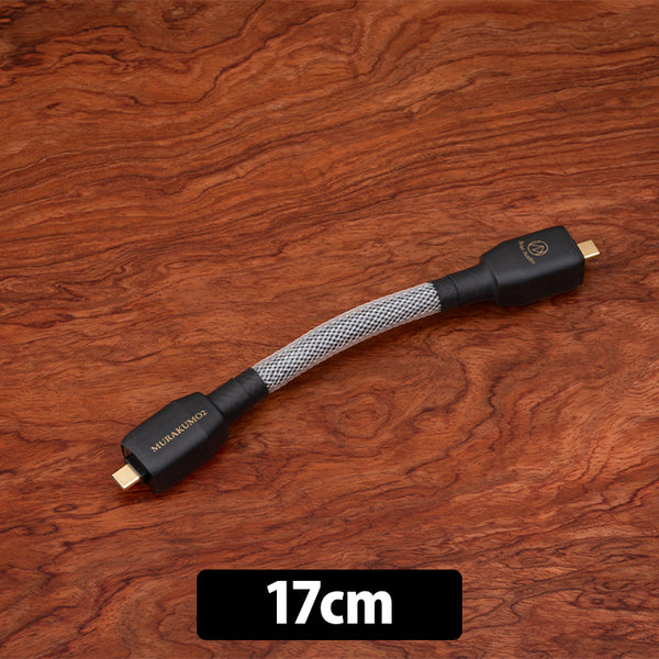 Brise Audio MURAKUMO2-USB OTG TYPE-C to C – e☆イヤホン