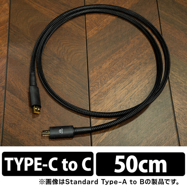 Brise Audio ACCURATE-USB OTG TYPE-C to C – e☆イヤホン