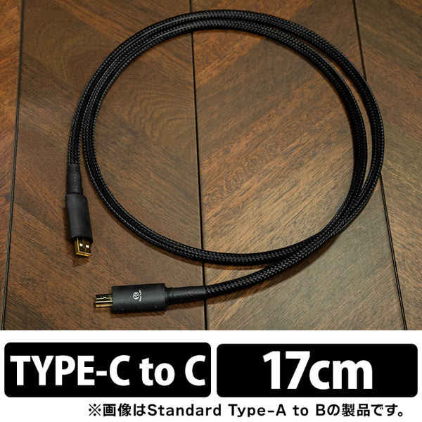 Brise Audio ACCURATE-USB OTG TYPE-C to C – e☆イヤホン