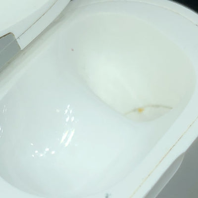 【中古】AirPods Pro 充電ケース【秋葉原】