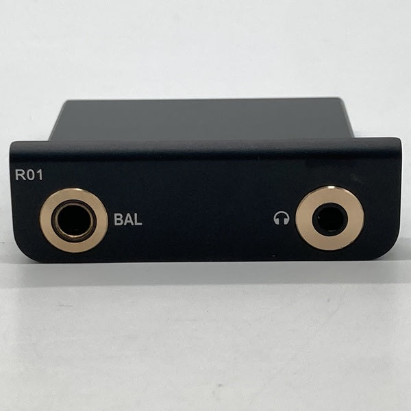 Cayin R01 オーディオマザーボード・R-2Rラダー型DAC搭載