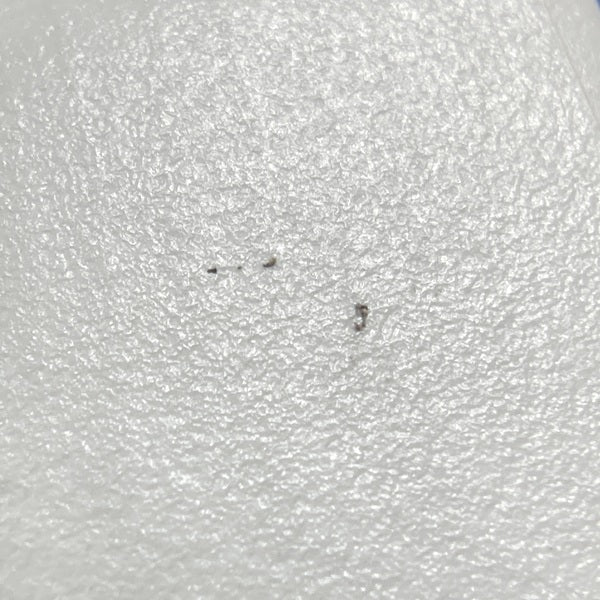 【中古】PEACE TW-1 ホワイト【名古屋】