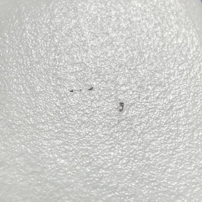 【中古】PEACE TW-1 ホワイト【名古屋】
