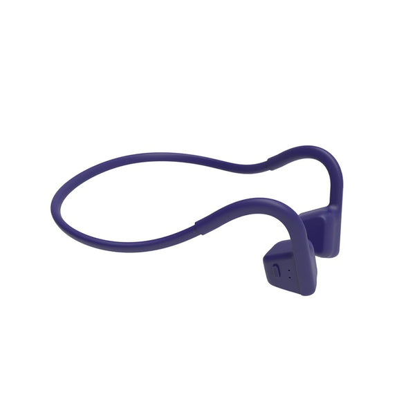 ActiBone2