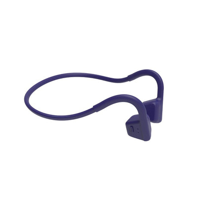 ActiBone2