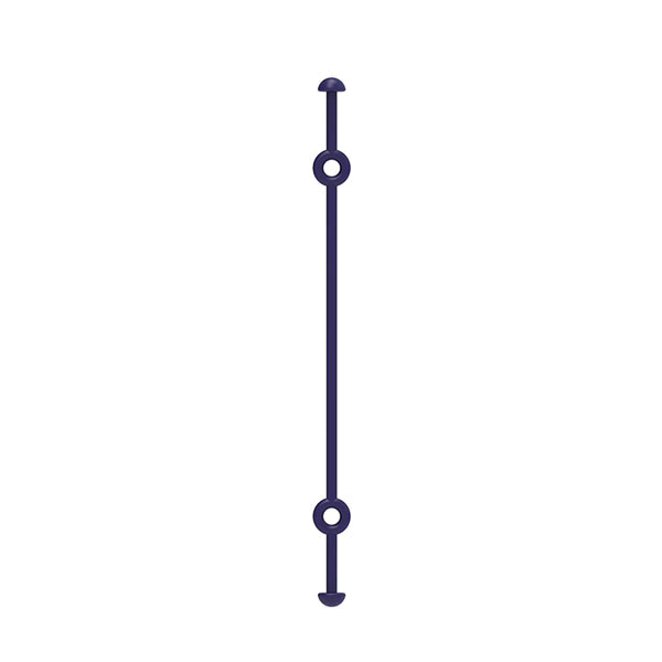 ActiBone2