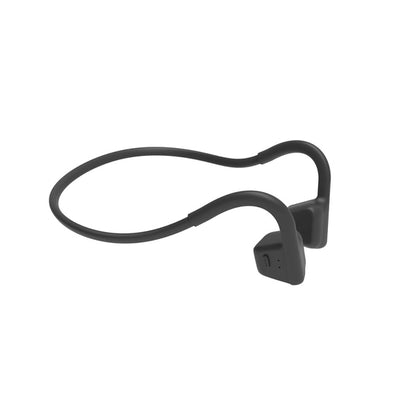 ActiBone2