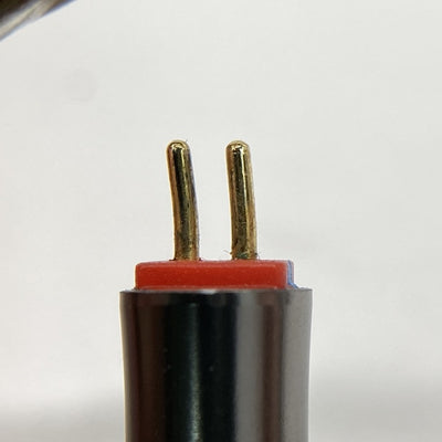 【中古】NORN【秋葉原】