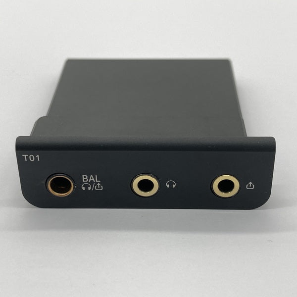 【中古】Cayin T01オーディオマザーボード・デュアルPCM1792A DAC搭載【秋葉原】