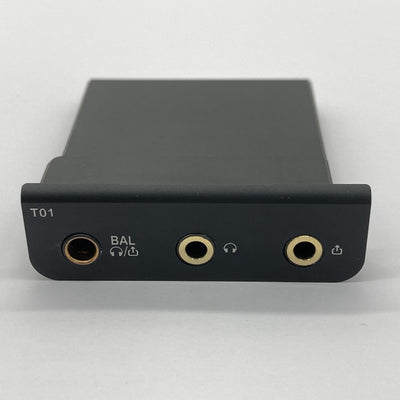 【中古】Cayin T01オーディオマザーボード・デュアルPCM1792A DAC搭載【秋葉原】