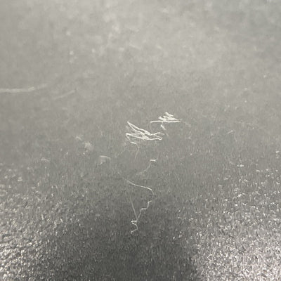 【中古】Protective Case(Clear)【日本橋】