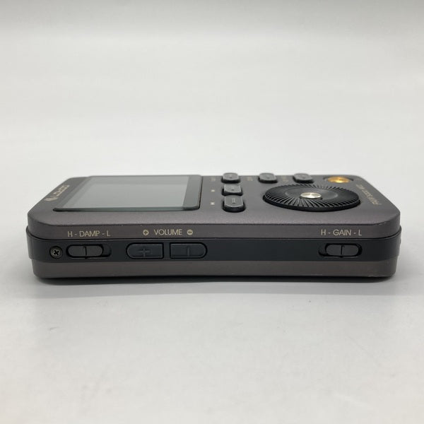 Lotoo 【中古】PAW5000 MKII JP Edition【秋葉原】 – e☆イヤホン