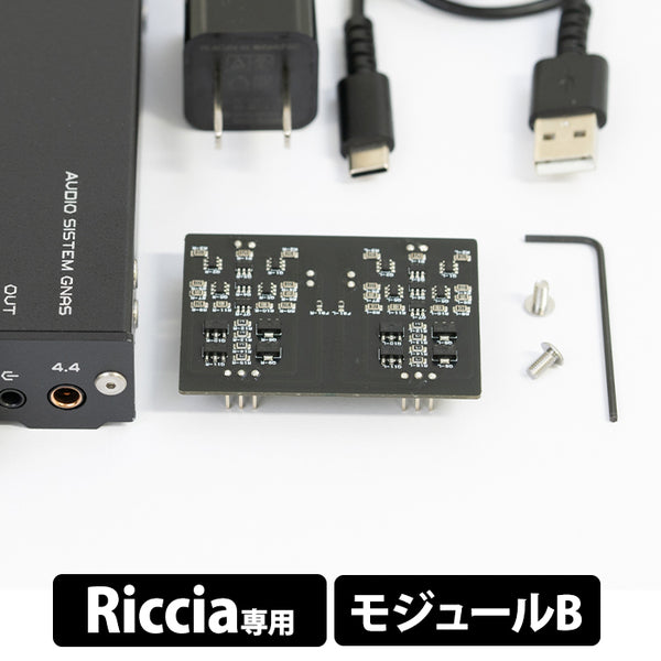 Riccia専用モジュール