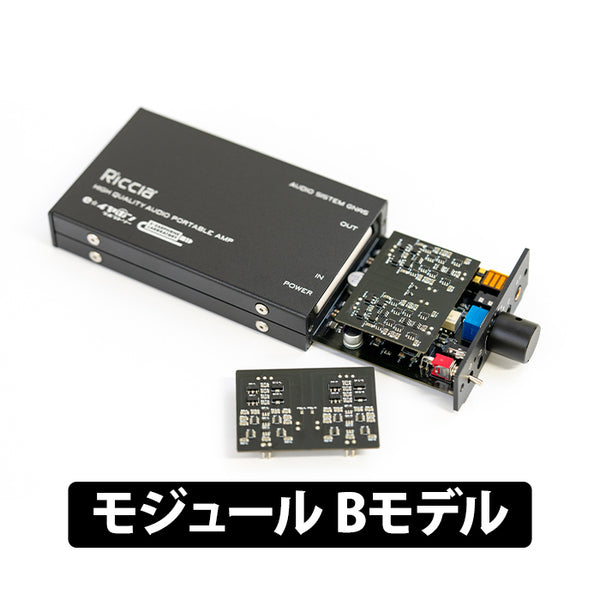 e☆イヤホン・ラボ Riccia【無くなり次第終了！ボリューム別