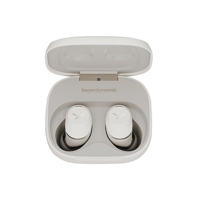 AMIRON 300
