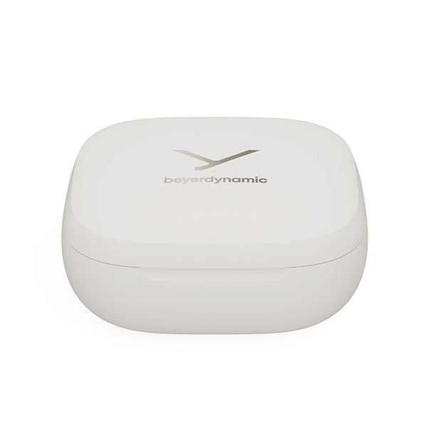 AMIRON 300