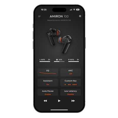 AMIRON 100