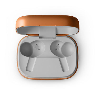 Beoplay Eleven