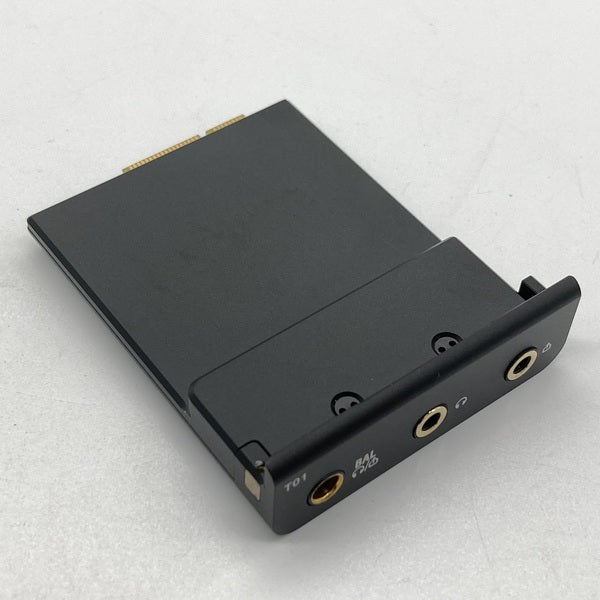 【中古】Cayin T01オーディオマザーボード・デュアルPCM1792A DAC搭載【秋葉原】