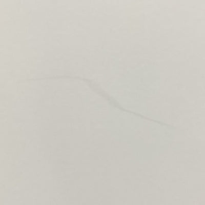 【中古】Roam【日本橋】