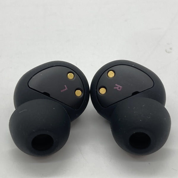 イヤホン Final ZE500 for ASMR Patra Black ZE500 for ASMR -Patra Black/Patra White- | final公式ストア