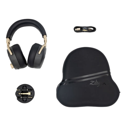 ALCHEM-E Perfect Tune Headphone