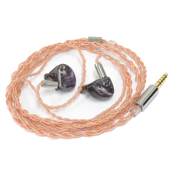 AAW Z02 (Universal Fit) – e☆イヤホン