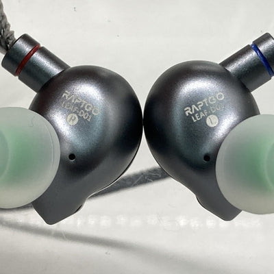 【中古】Leaf D01【名古屋】