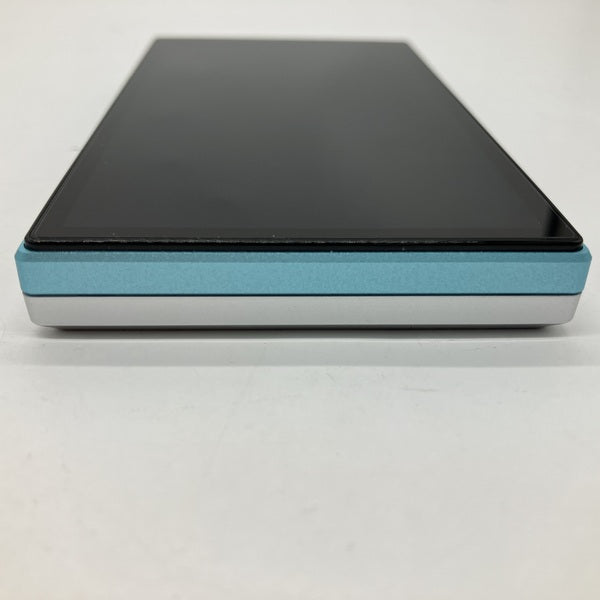 中古 国内正規品 fiio jm21