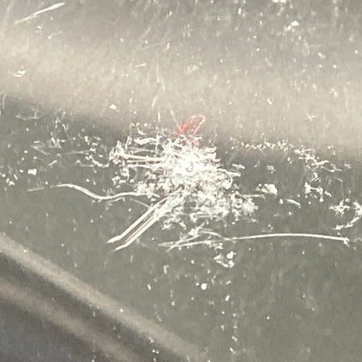 【中古】Engine 4【名古屋】