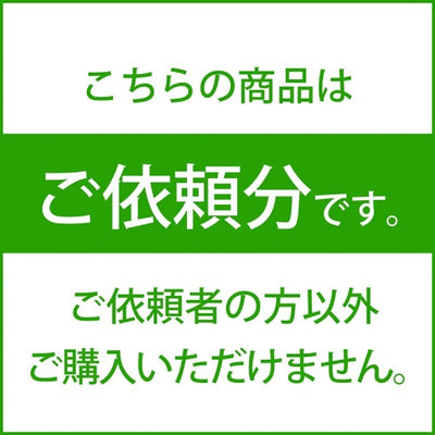 【中古】SG-03(ケーブル欠品）【日本橋】
