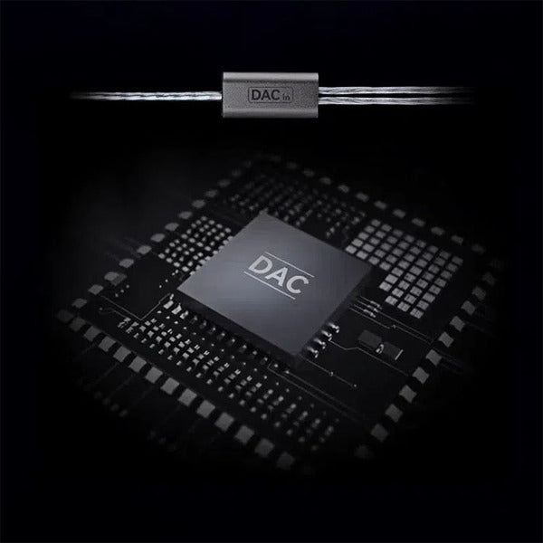 EW300 DSP (マイク付き)