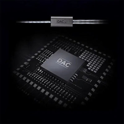 EW300 DSP (マイク付き)