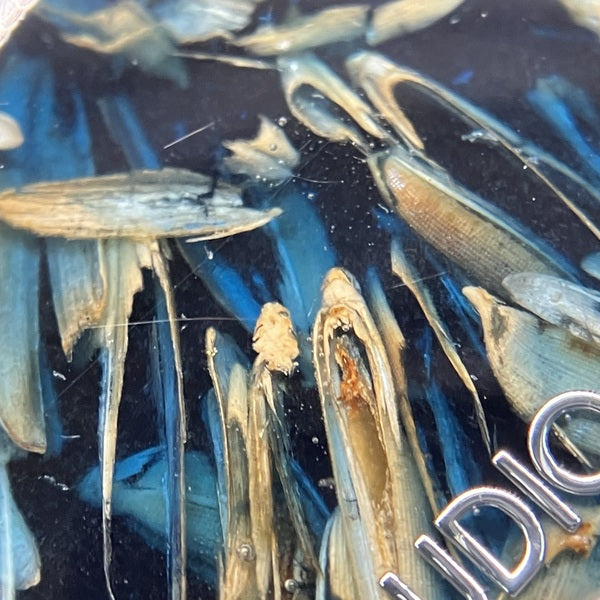 【中古】Hype 2 Indigo (Blue)【秋葉原】