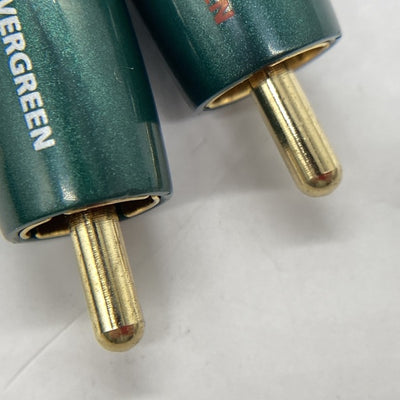 【中古】EverGreen【秋葉原】
