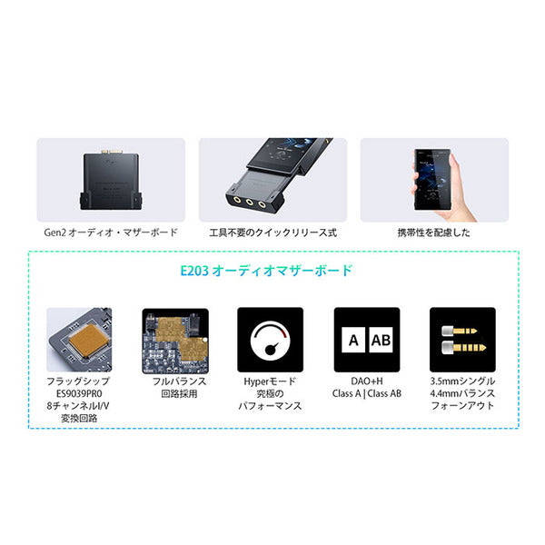 Cayin N6iii/E203【SPK-A006-E203】 – e☆イヤホン