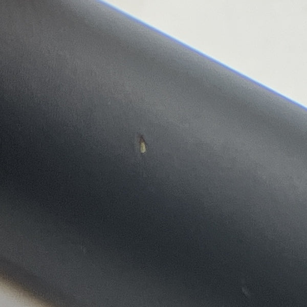 【中古】篠波　麗 (Sasanami-Urara) AK2.5mm4極バランス/MMCX 【NLI-SNM-URR】【仙台】