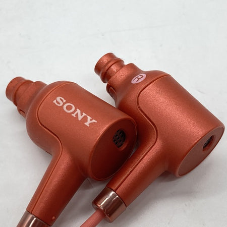 SONY 【中古】IER-NW500N【名古屋】 – e☆イヤホン