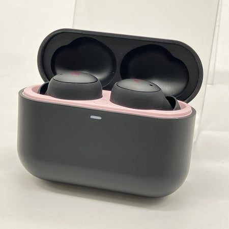 イヤホン ZE500 for ASMR Patra Black ZE500 for ASMR -Patra Black/Patra White- | final公式ストア