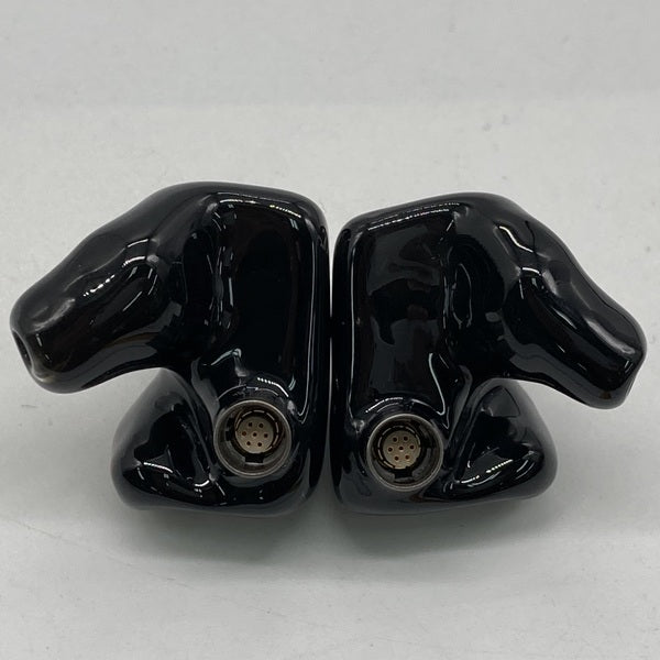 【中古】Roxanne（カスタムIEM）【秋葉原】