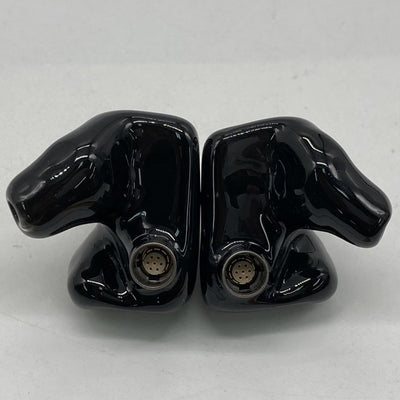 【中古】Roxanne（カスタムIEM）【秋葉原】