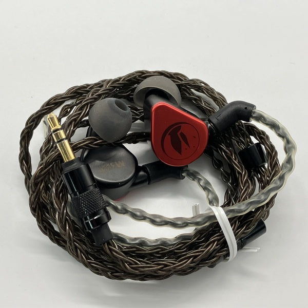 イヤホン Fir Audio M5 FiR Audio 【中古】M5【日本橋】 – e☆イヤホン