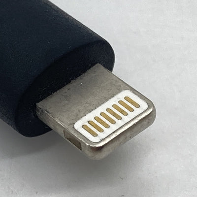 【中古】xDSD Gryphon【秋葉原】